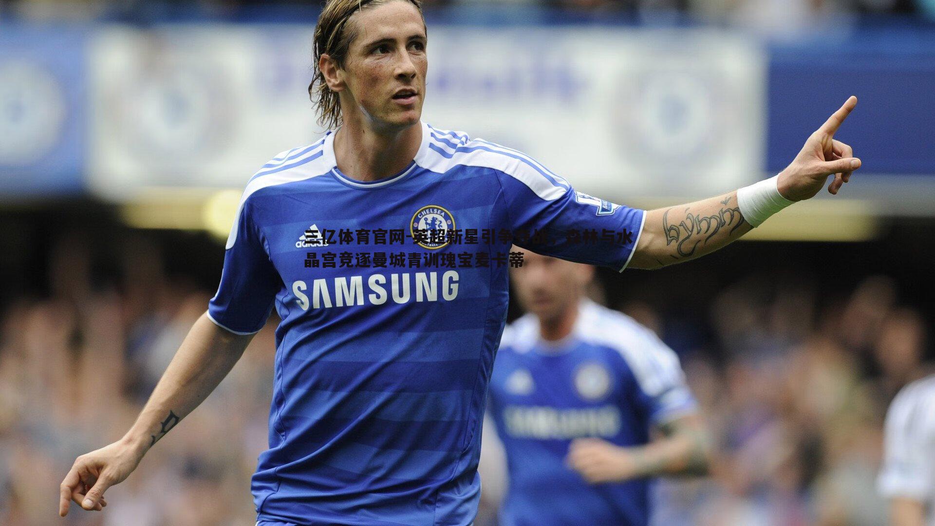 英超新星引争夺战，森林与水晶宫竞逐曼城青训瑰宝麦卡蒂